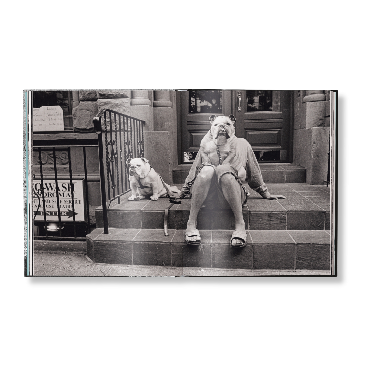 Elliott Erwitt: Last Laughs