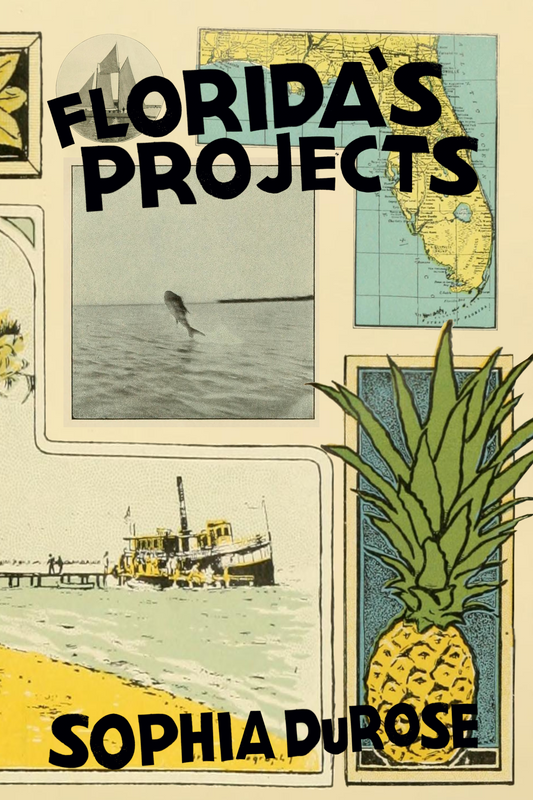 Florida's Projects, by Sophia DuRose
