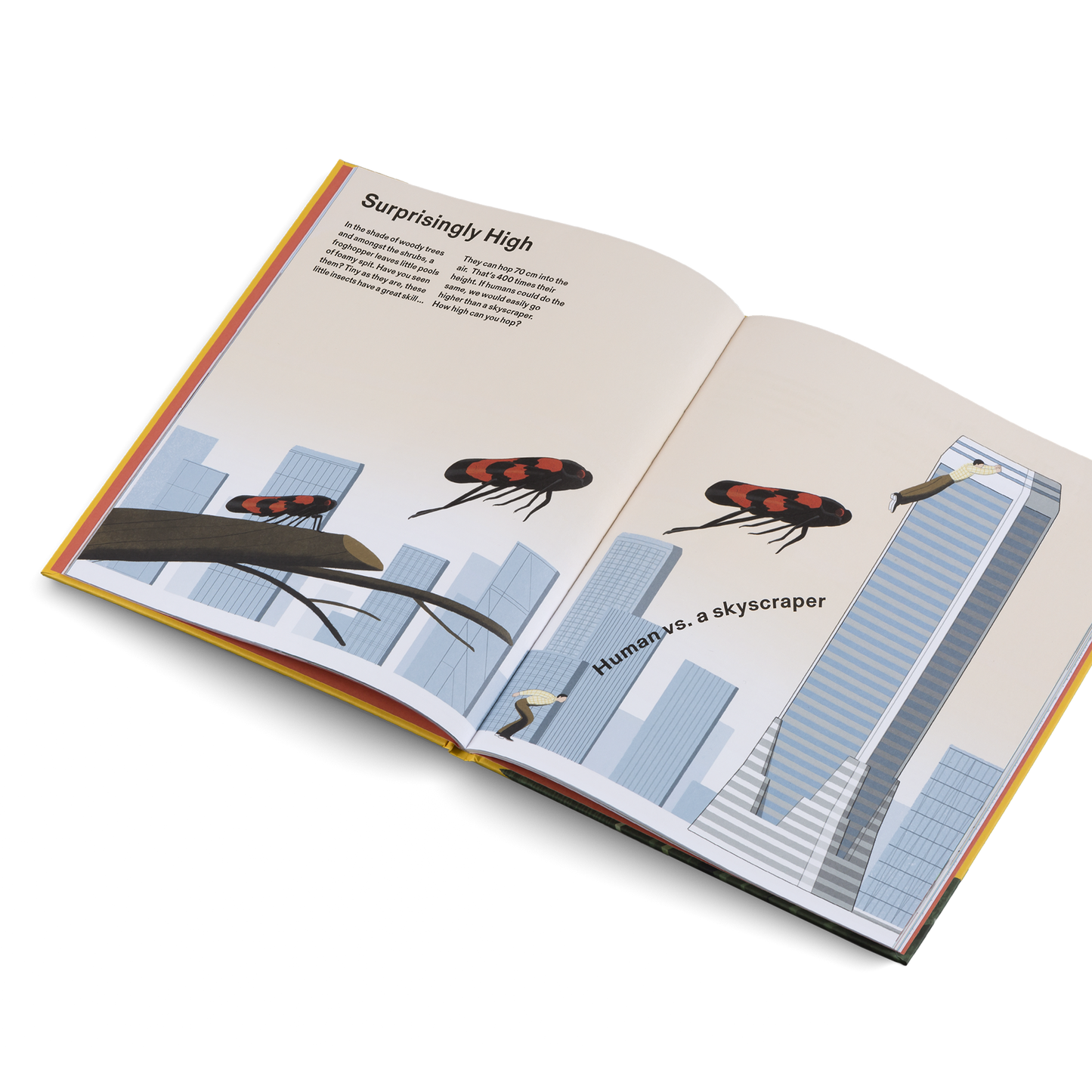 How Big Is Big? How Far Is Far? All Around Me