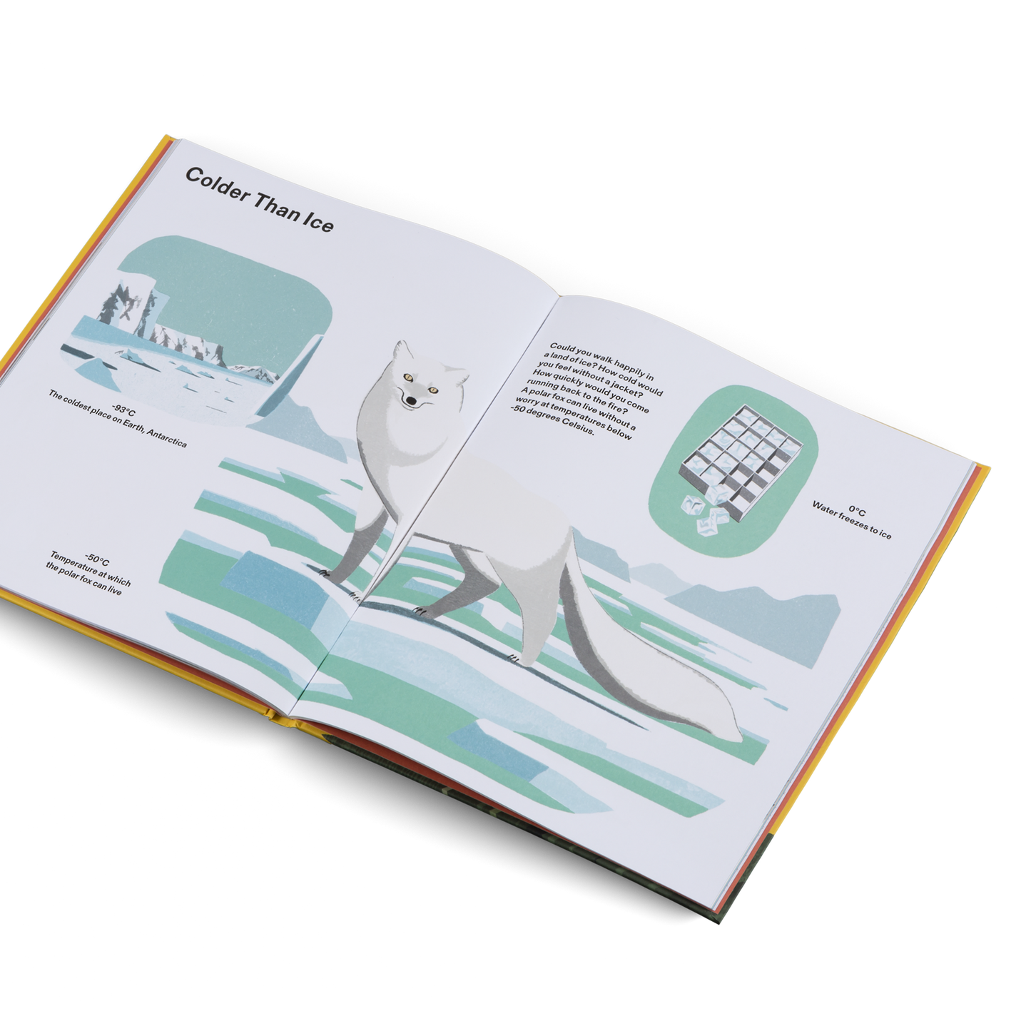 How Big Is Big? How Far Is Far? All Around Me