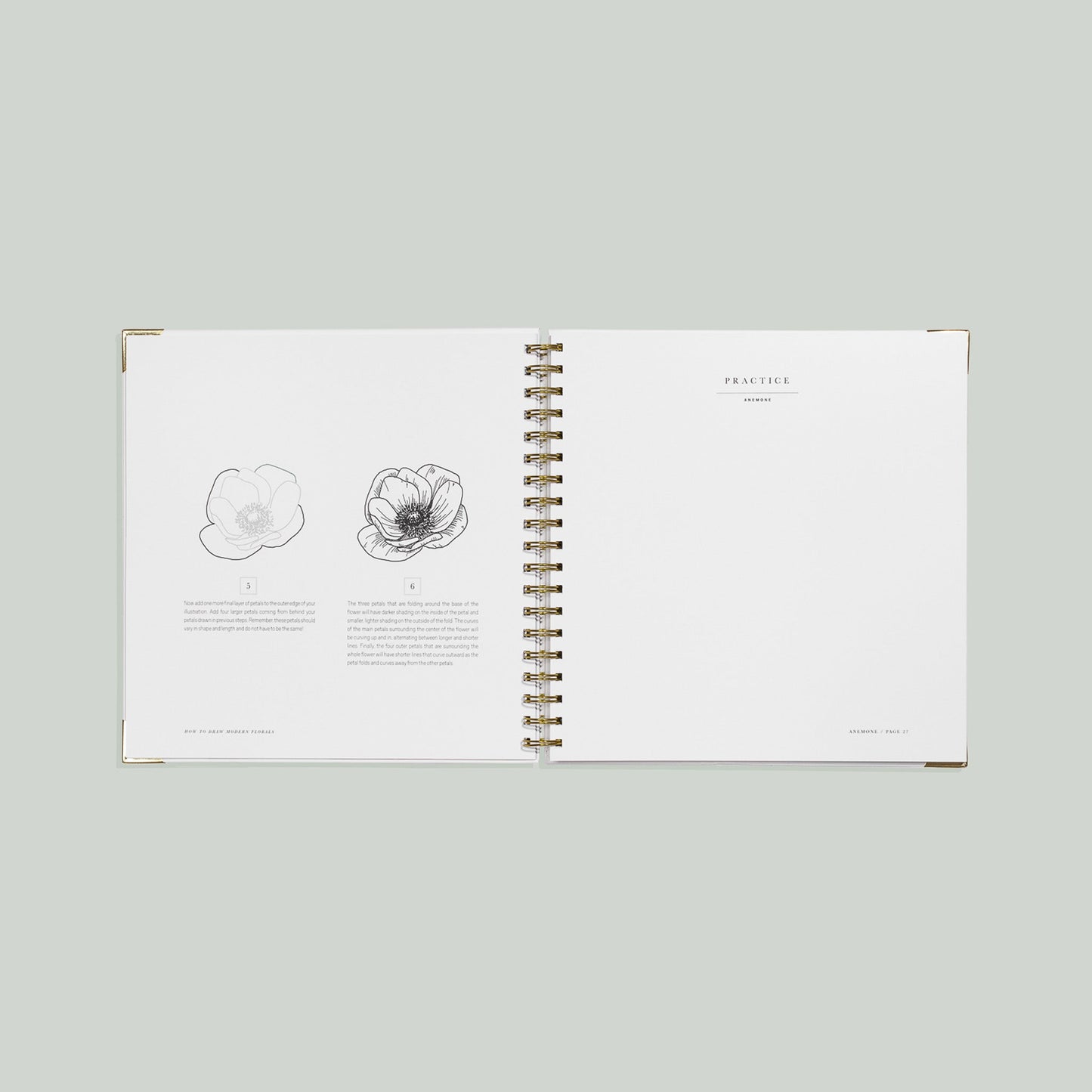 How to Draw Modern Florals