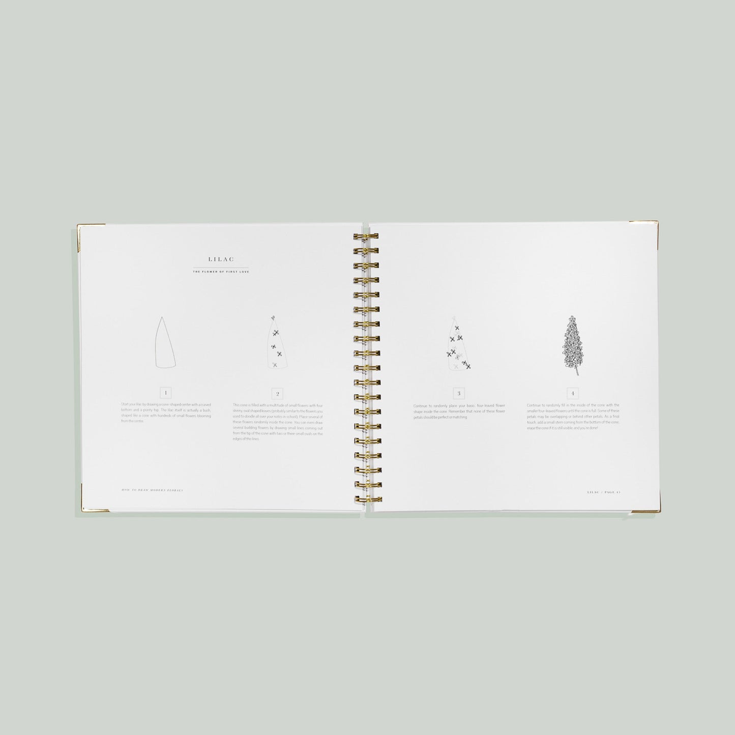 How to Draw Modern Florals