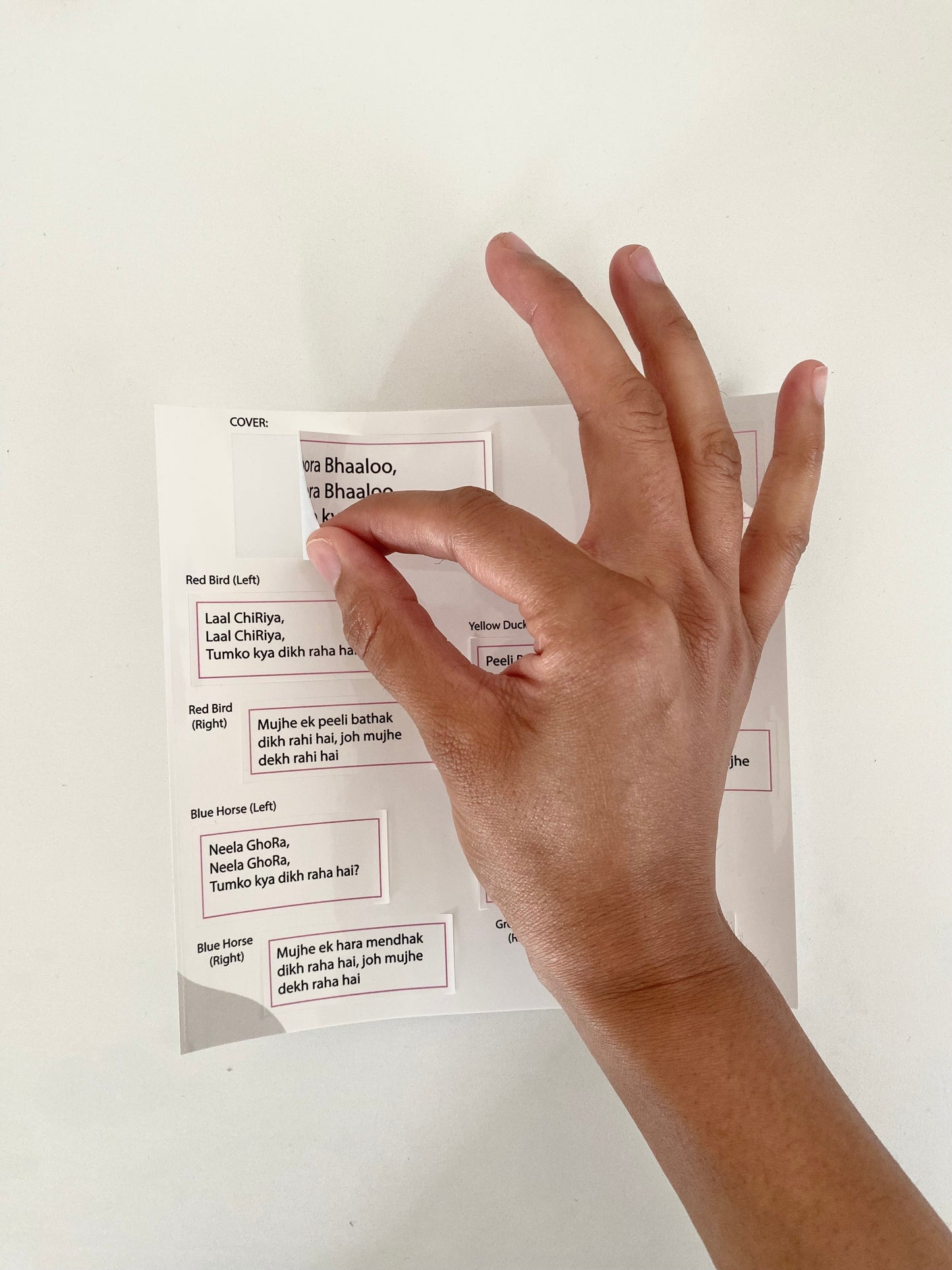 The Unofficial "Brown Bear, Brown Bear" Hindi Sticker Packet (With AUDIO)