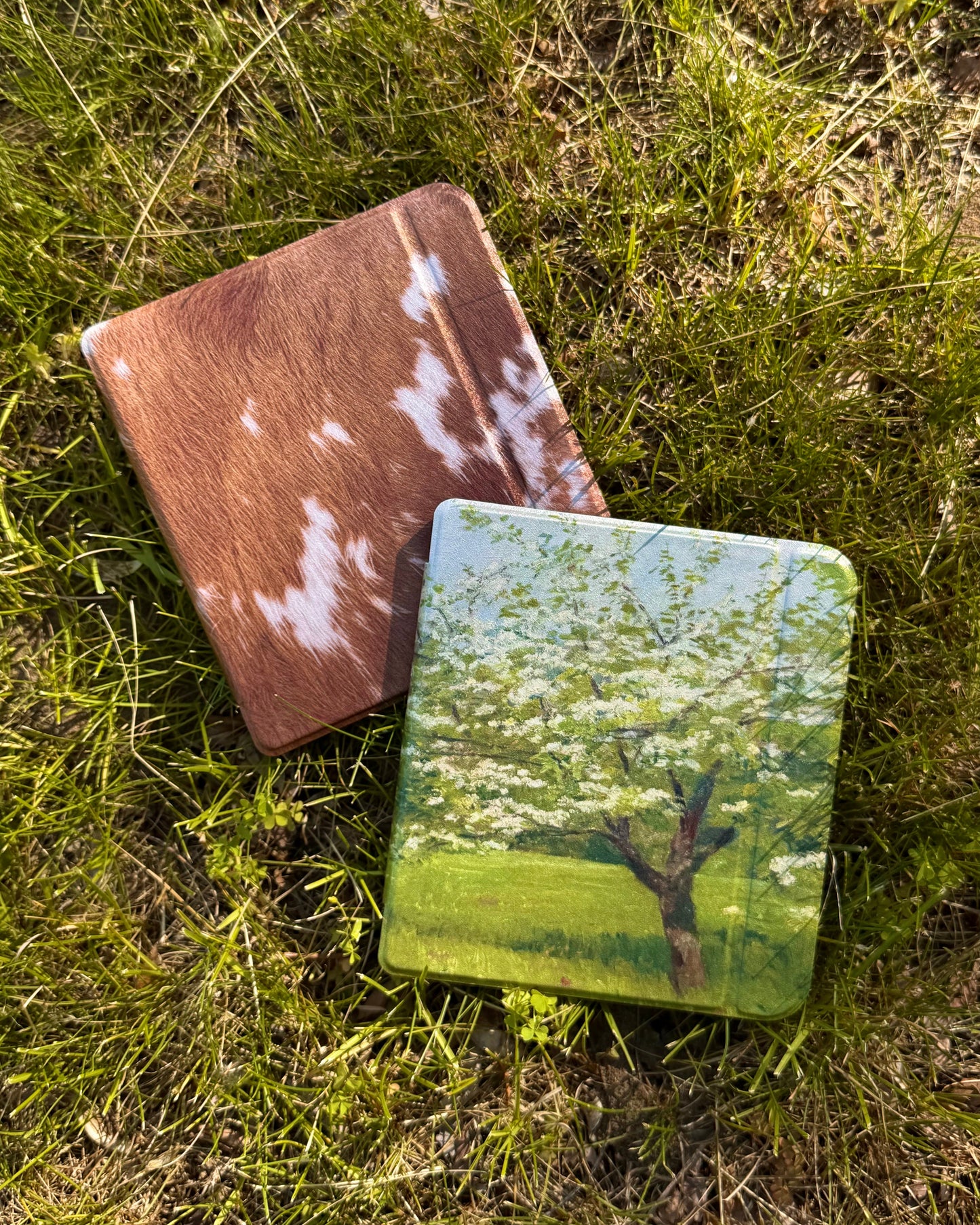 A Perfect Day - Kobo Case