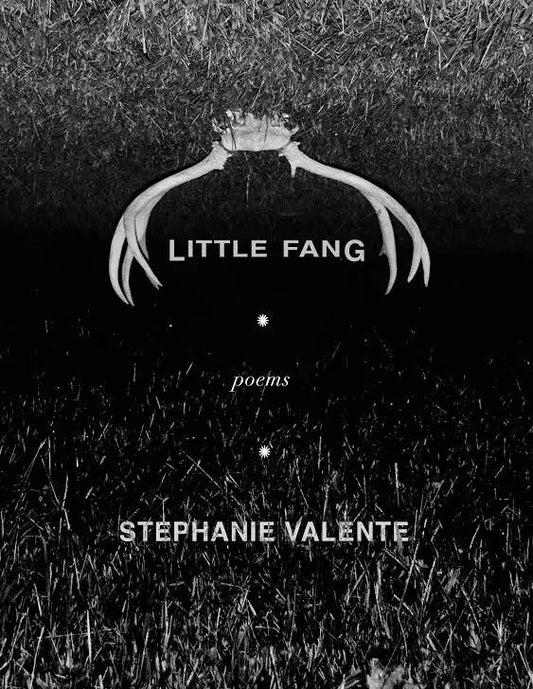 Little Fang, by Stephanie Valente