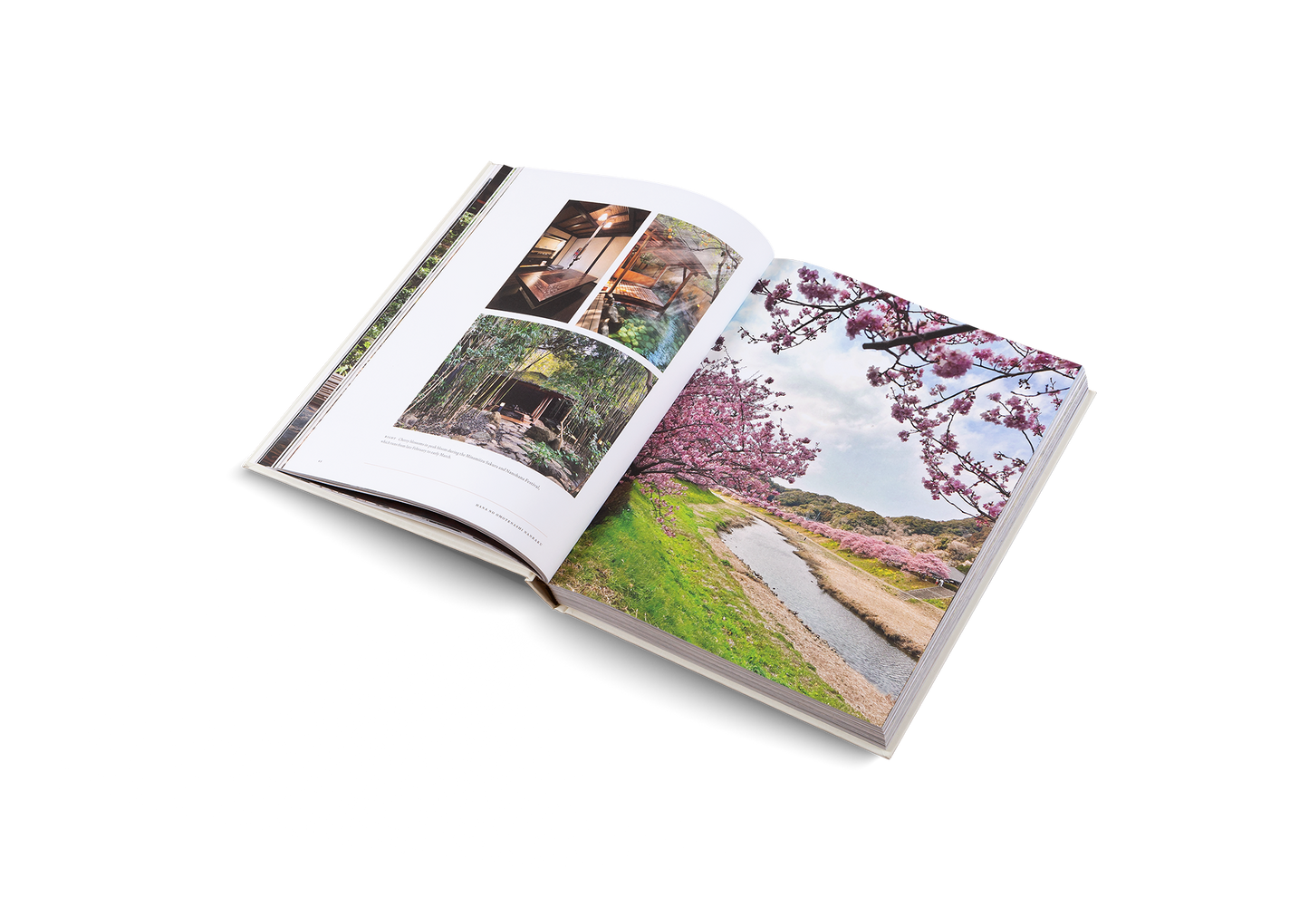 Onsen and Ryokan of Japan