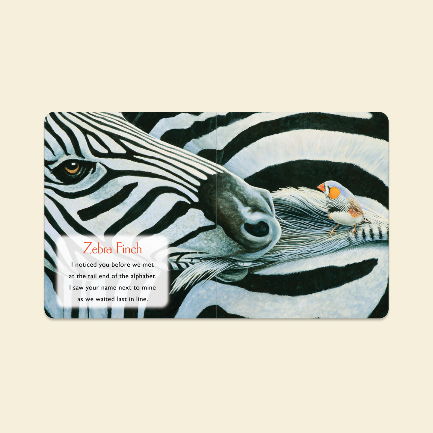 You Stole My Name Board Book