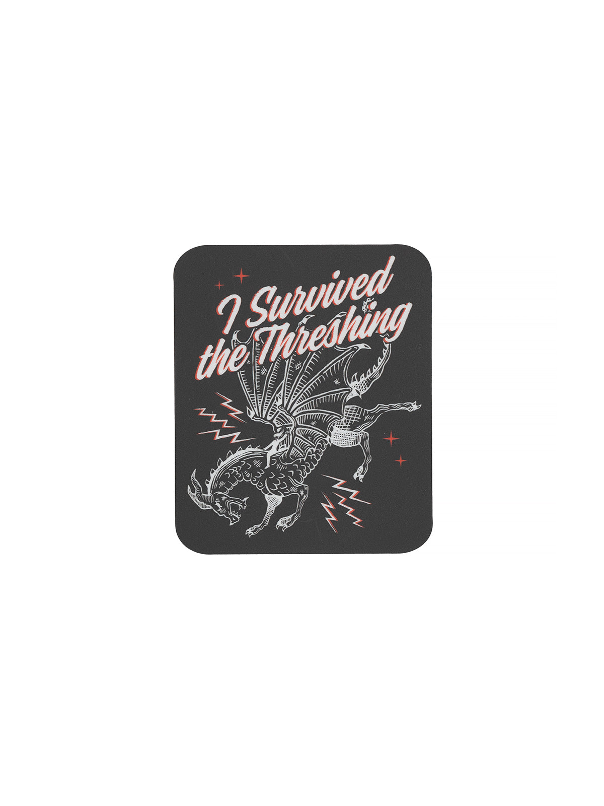 Fourth Wing: Dragon Rider Stickers - Set of 4