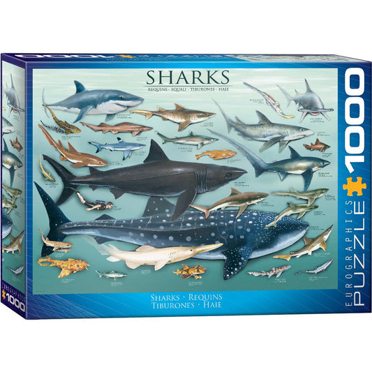 Sharks 1000 Piece Jigsaw Puzzle Eurographics