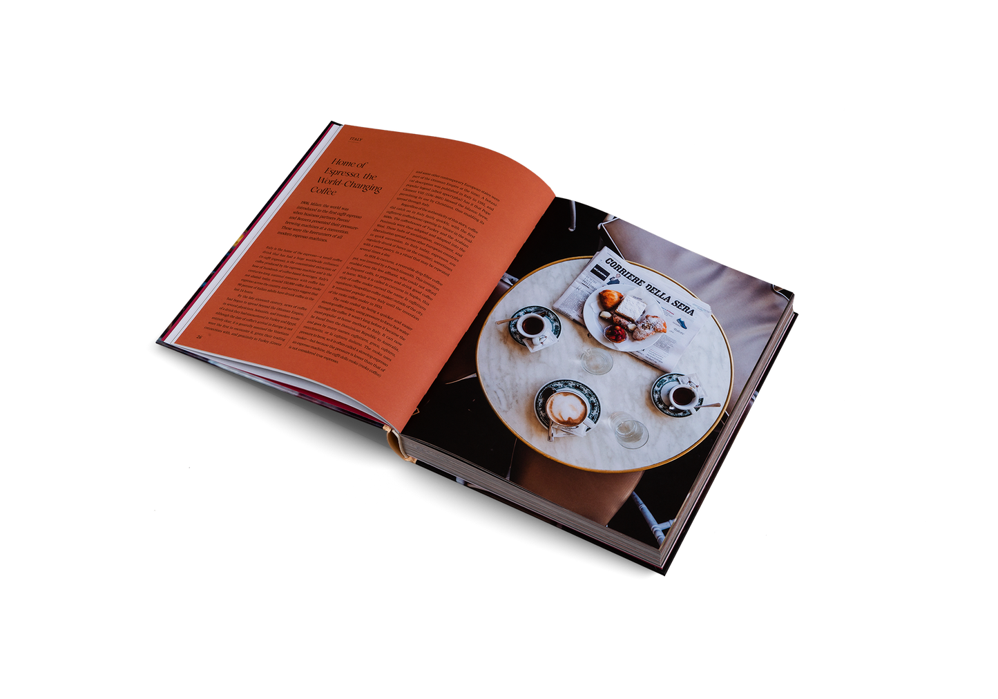 Spill the Beans (Updated Edition)