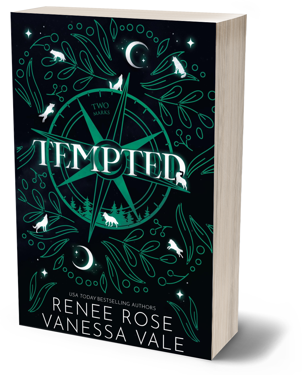 Two Marks Book 2: Tempted - signed paperback
