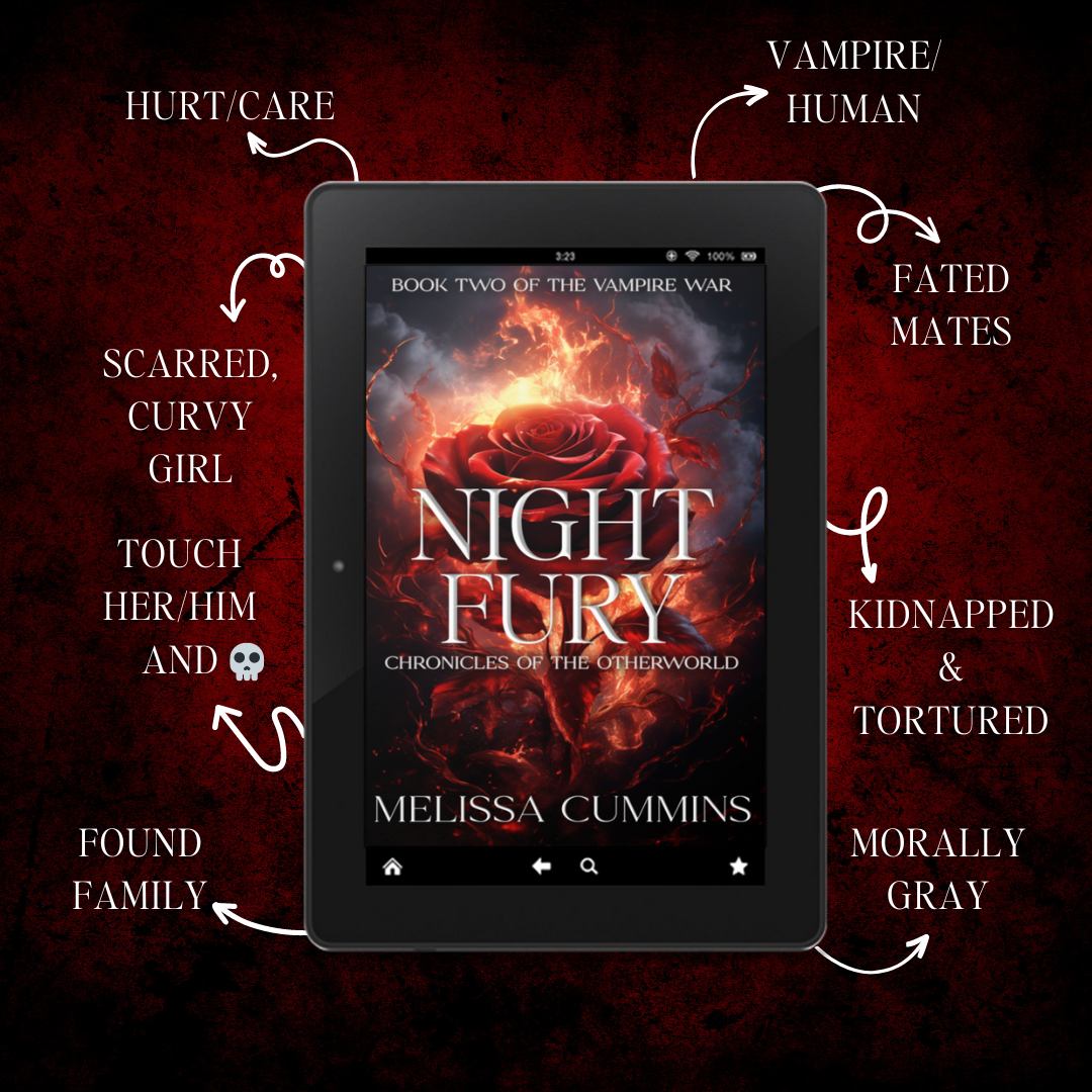 Night Fury Paperback