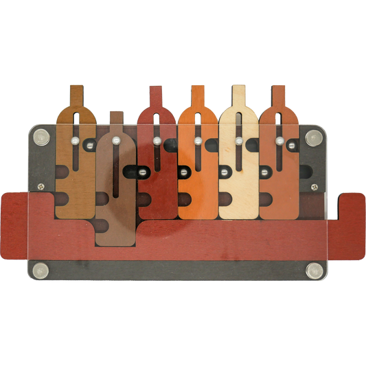 The Waiter's Tray Puzzle Constantin