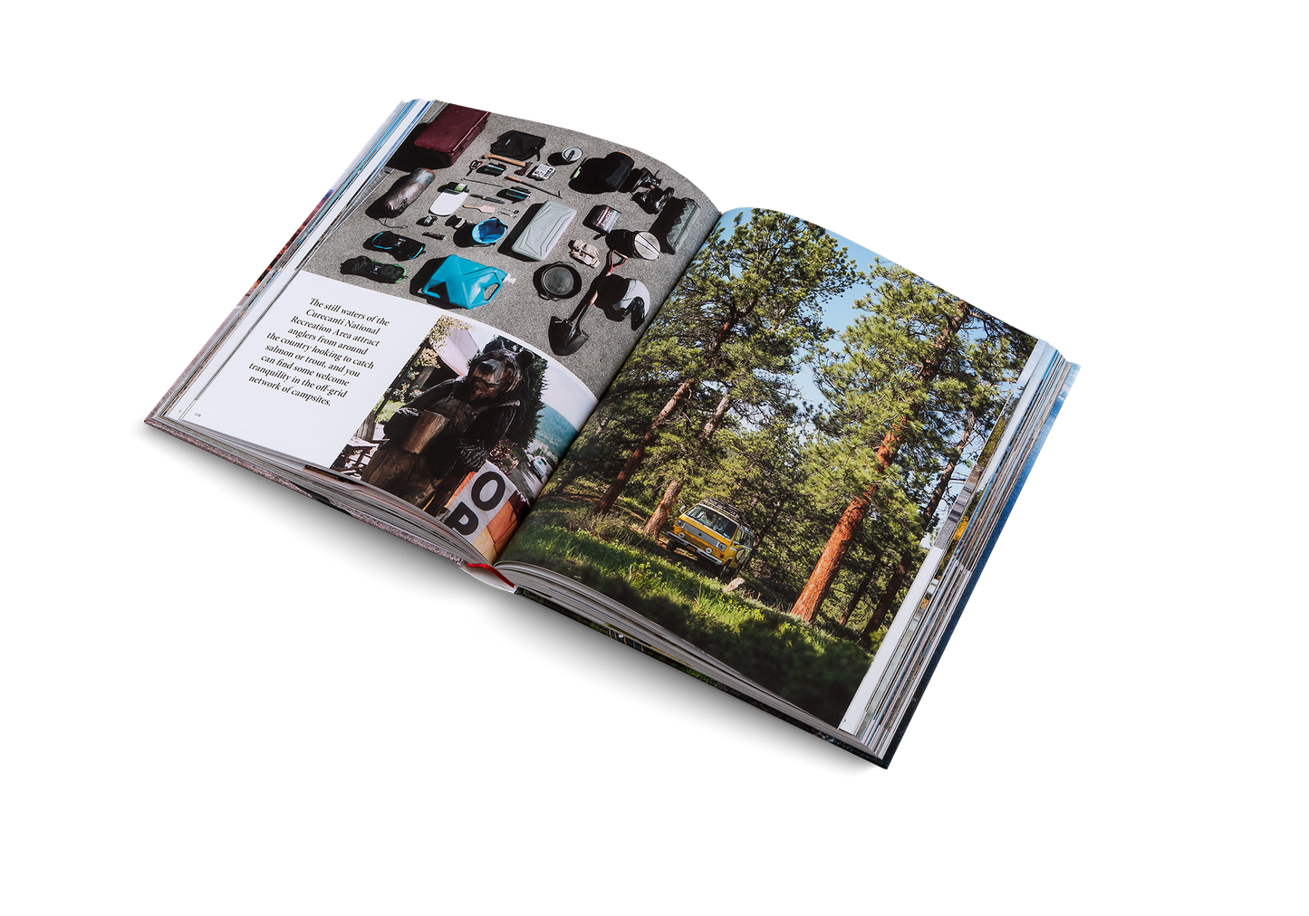 The Great American Road Trip