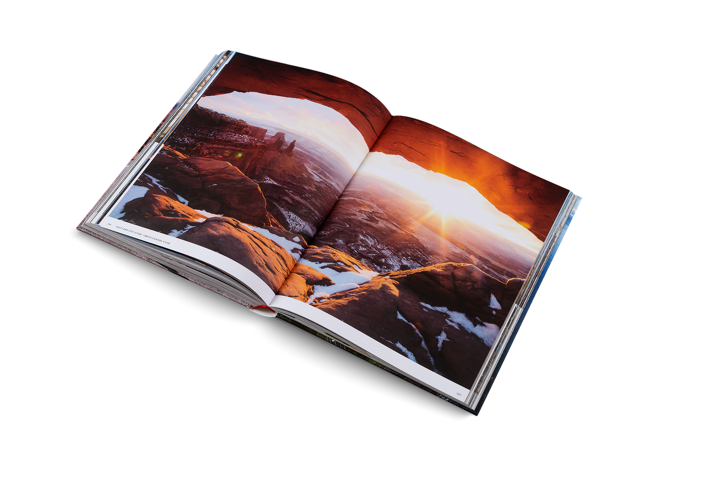 The Great American Road Trip