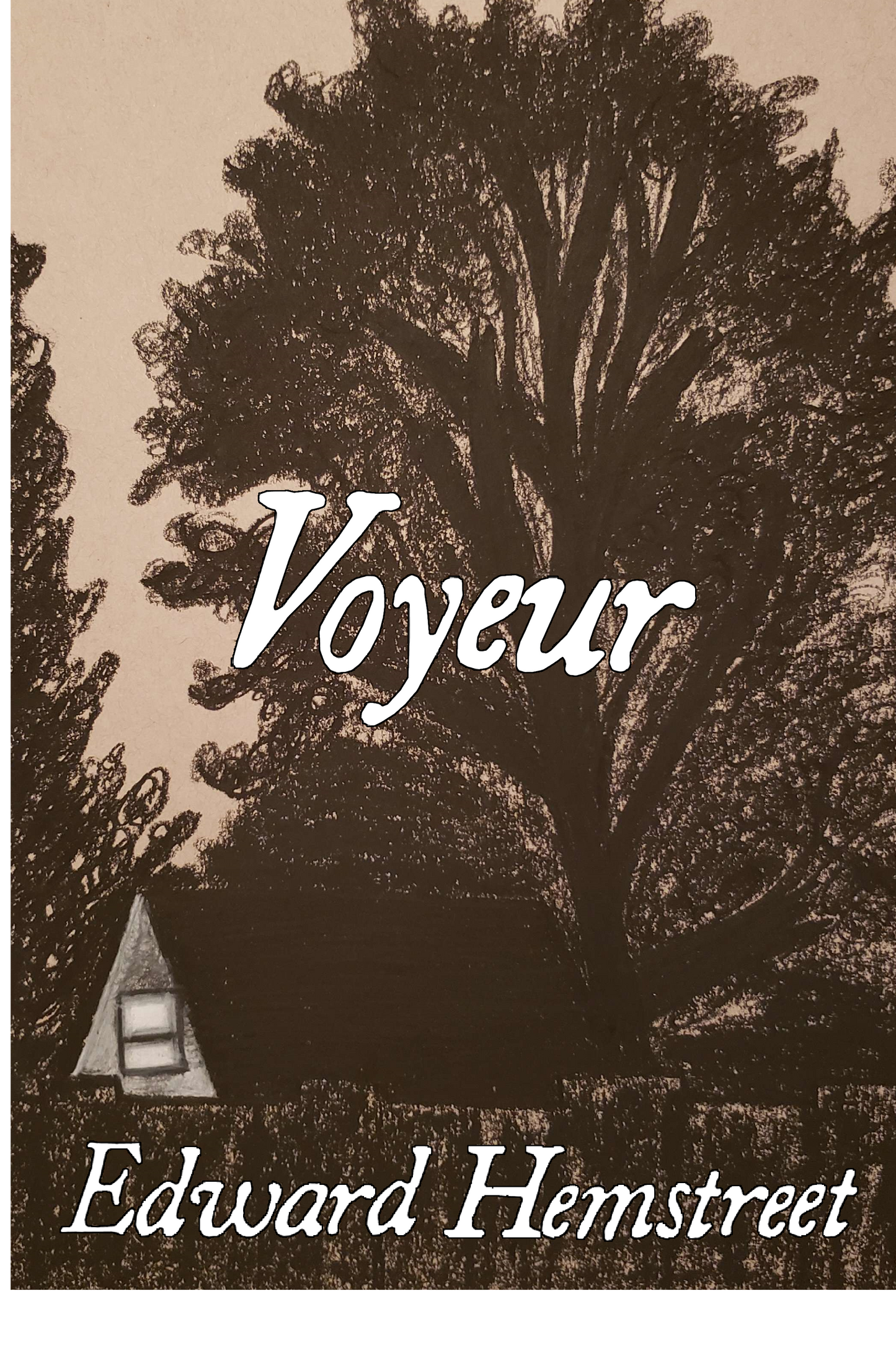 Voyeur, by Edward Hemstreet