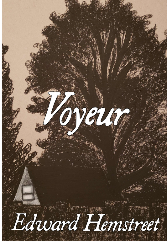 Voyeur, by Edward Hemstreet