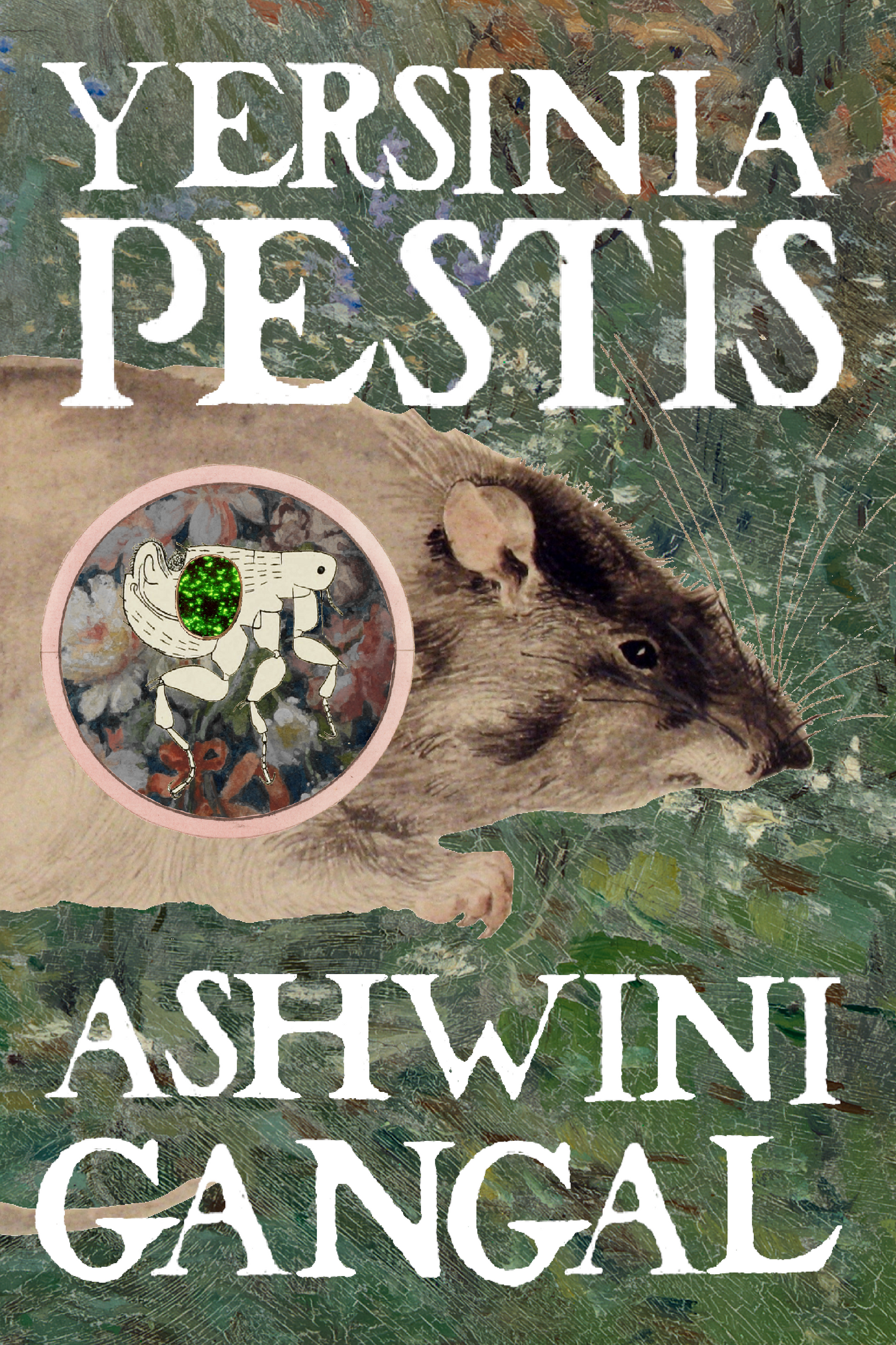 Yersinia Pestis, by Ashwini Gangal