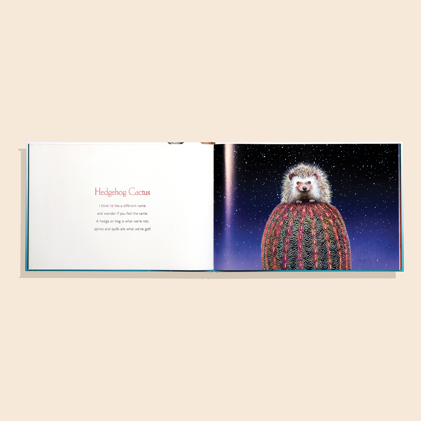 You Stole My Name Too