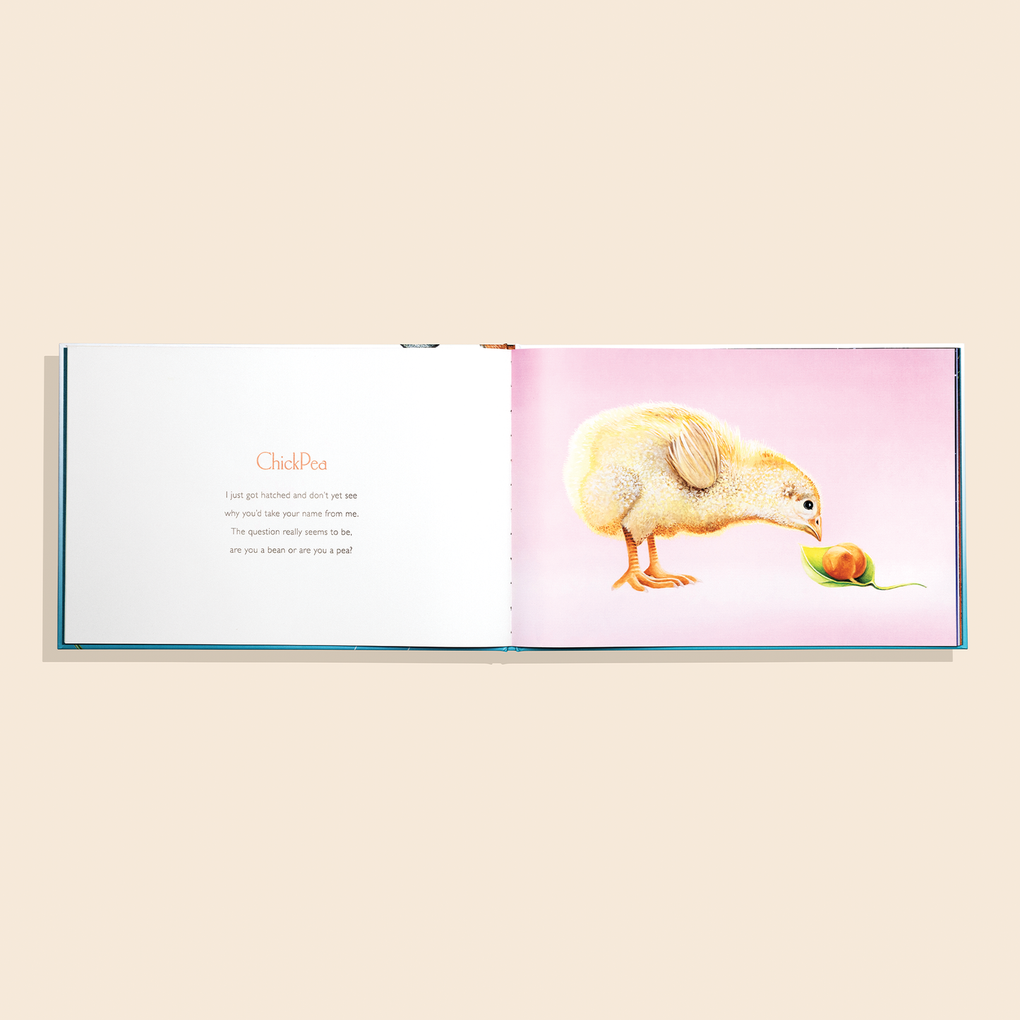 You Stole My Name Too