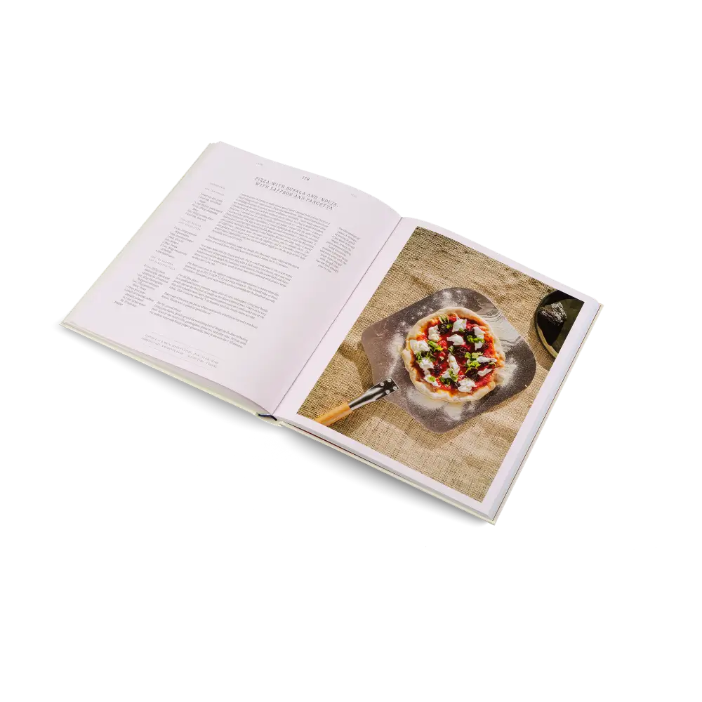 A Spoonful of Sun Book