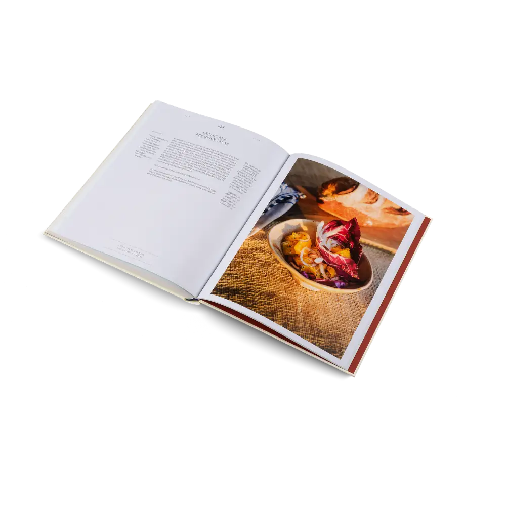 A Spoonful of Sun Book