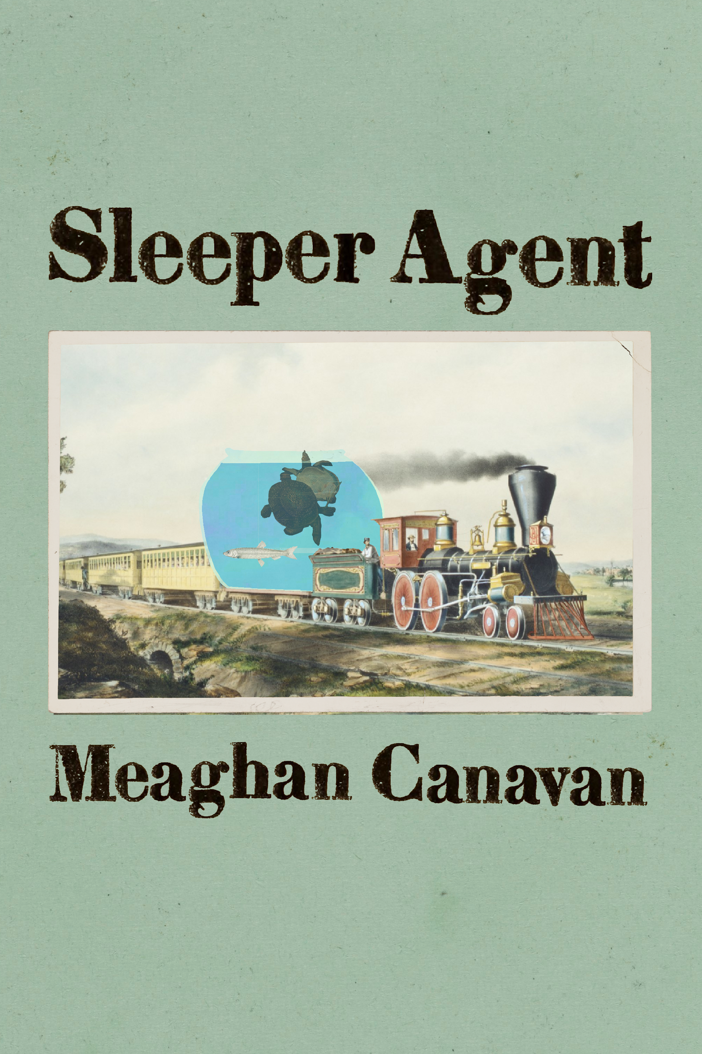 Sleeper Agent, by Meaghan Canavan