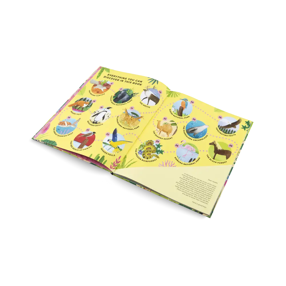 Animals Everywhere Book