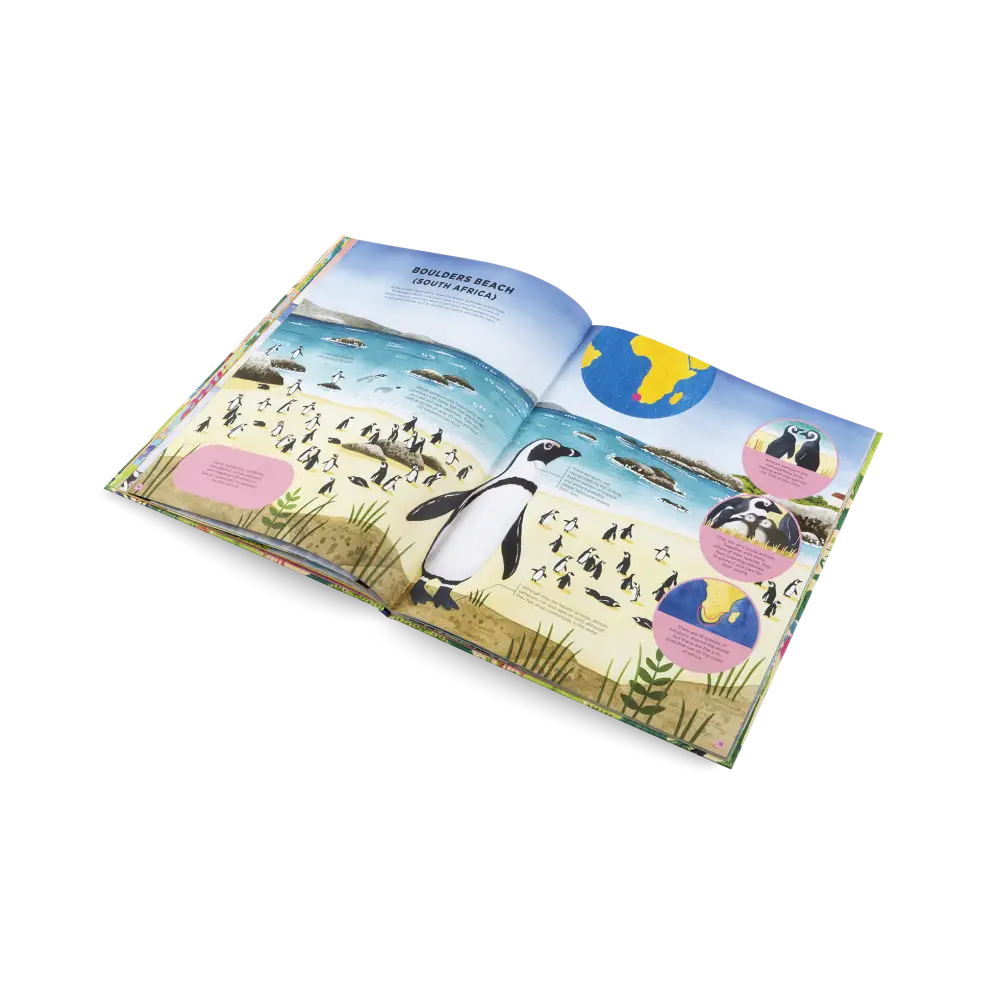 Animals Everywhere Book