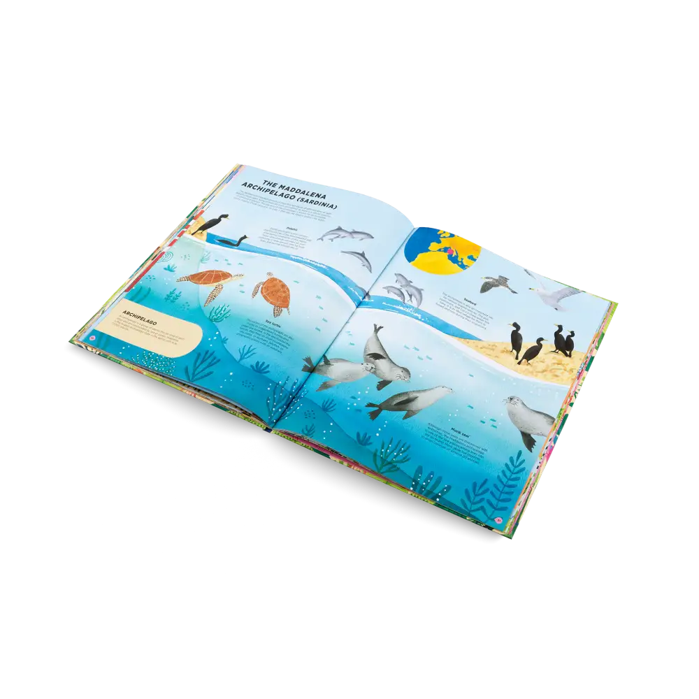 Animals Everywhere Book