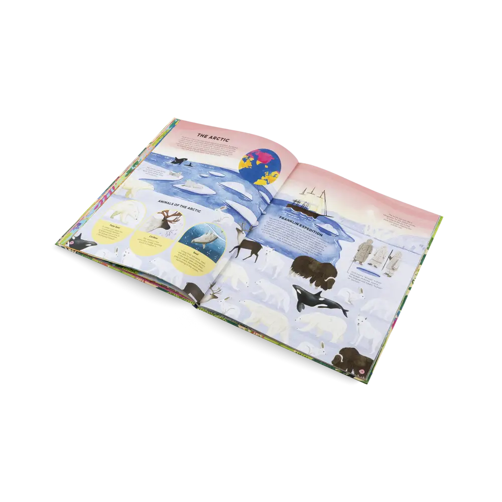 Animals Everywhere Book