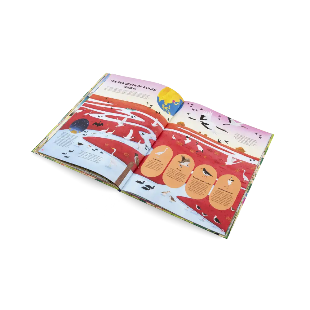 Animals Everywhere Book