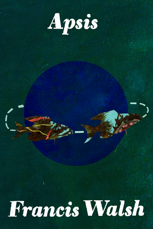 Apsis, by Francis Walsh