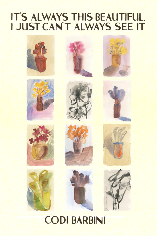 It's Always This Beautiful, I Just Can't Always See It, by Codi Barbini