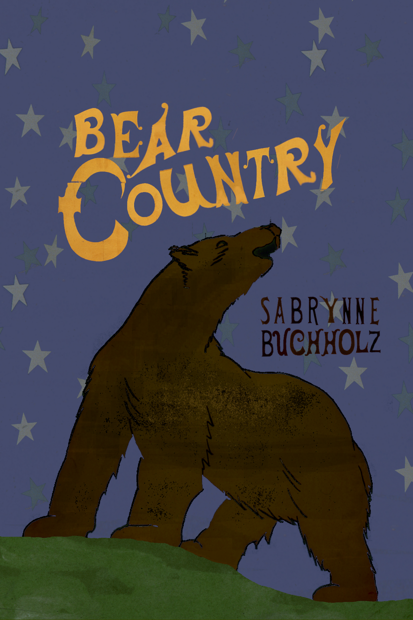 Bear Country, by Sabrynne Buchholz