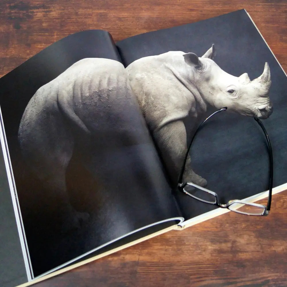 Between Us: Animal Portraits Book