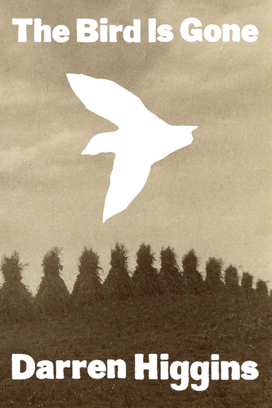 The Bird is Gone, by Darren Higgins