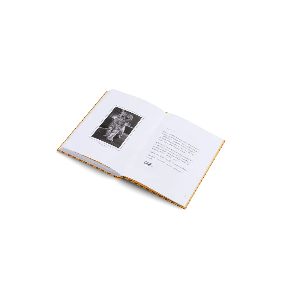 Blue Chip Book