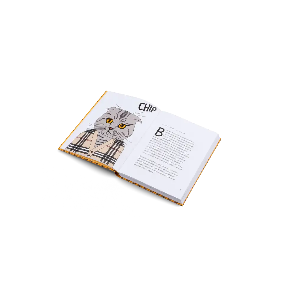 Blue Chip Book