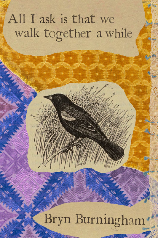 All I ask is that we walk together a while, by Bryn Burningham