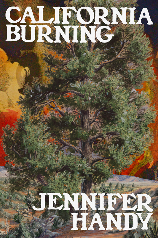 California Burning, by Jennifer Handy