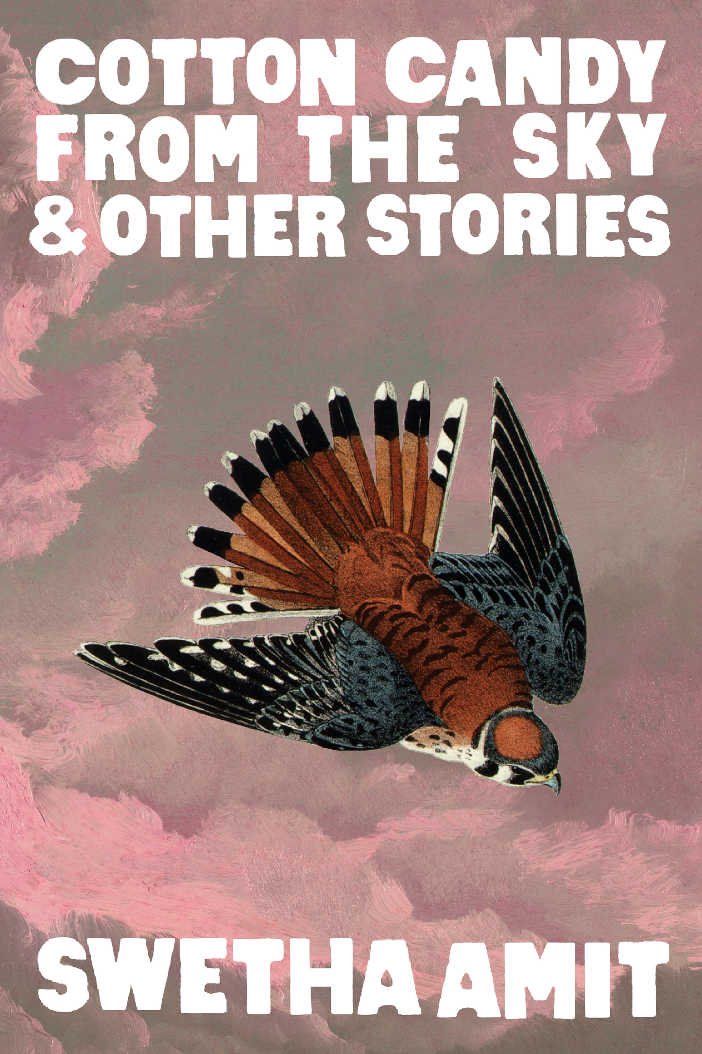 Cotton Candy from the Sky & Other Stories