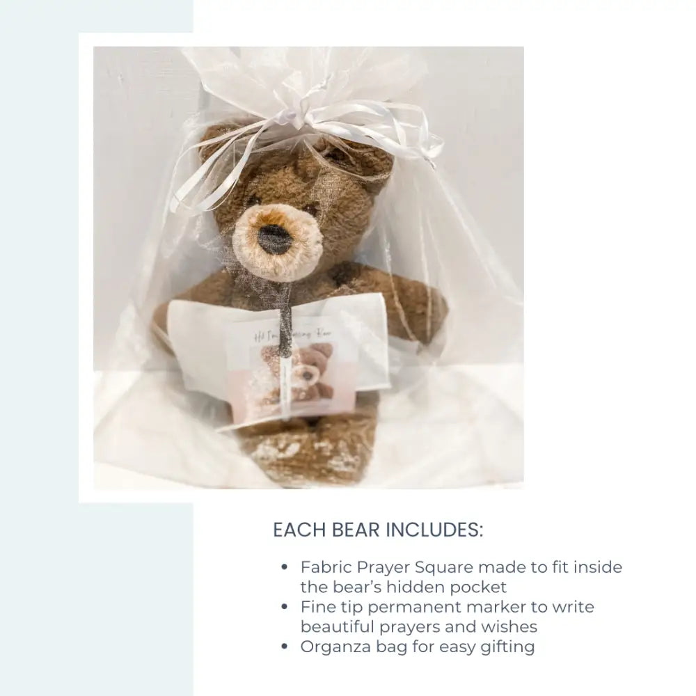 Cocoa Blessing Bear™ Prayer Bear