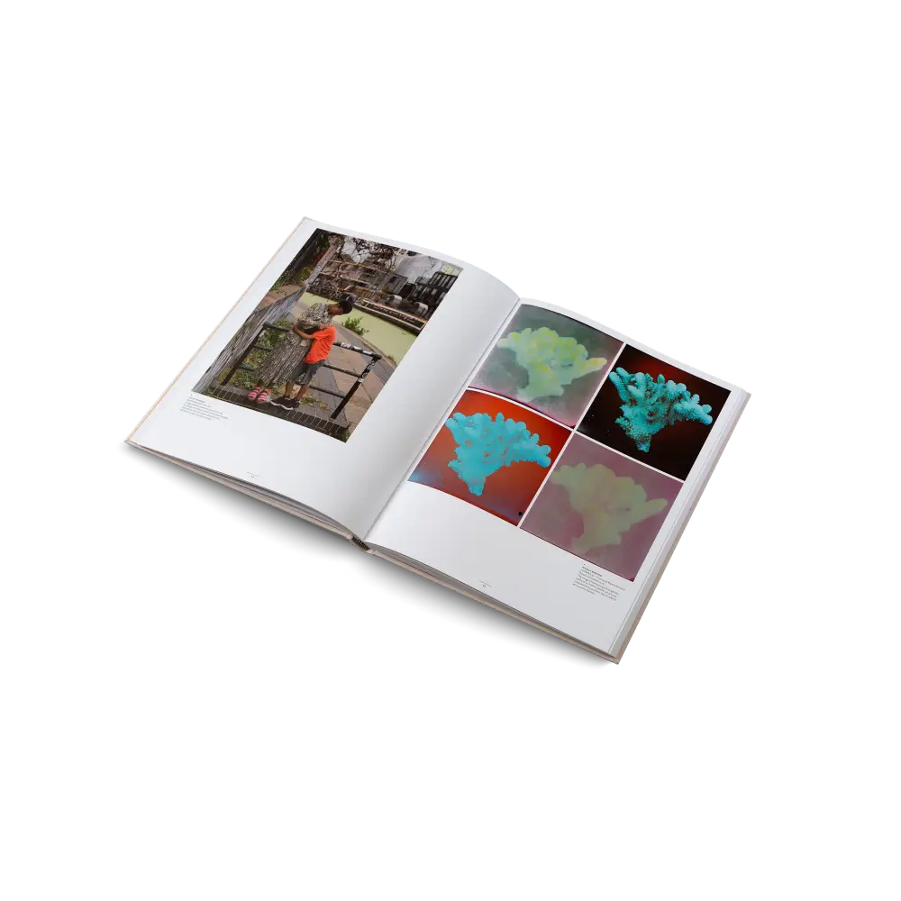 Collage Book