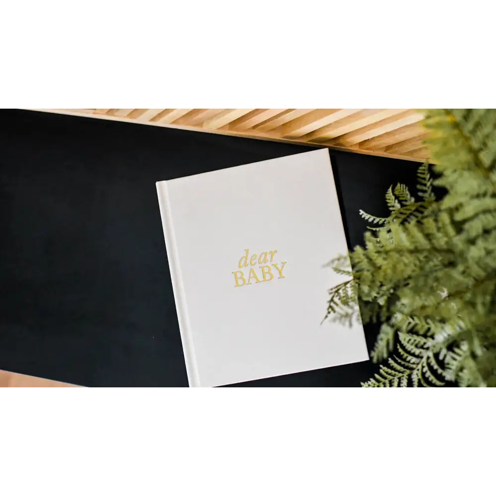 Dear Baby: Pregnancy Prayer Journal Journal