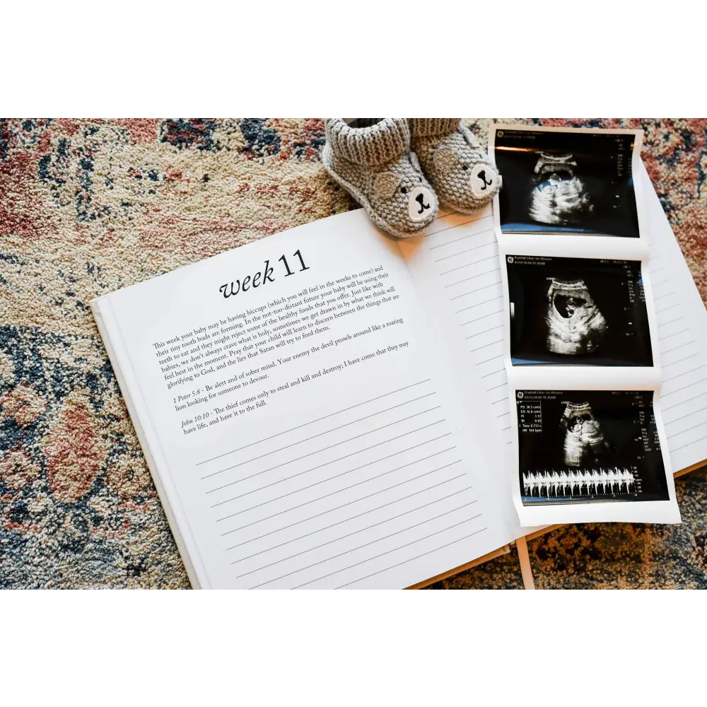 Dear Baby: Pregnancy Prayer Journal Journal