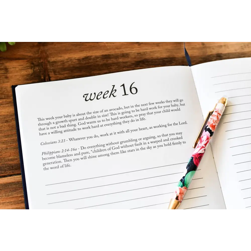 Dear Baby: Pregnancy Prayer Journal Journal