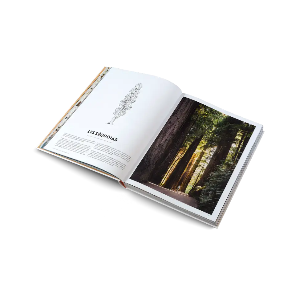 Deux ans à vélo Book