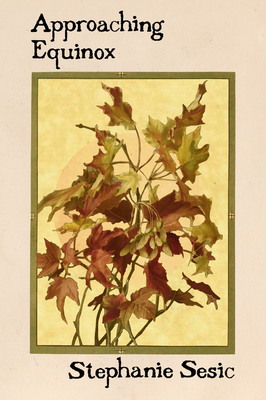 Approaching Equinox, by Stephanie Sesic
