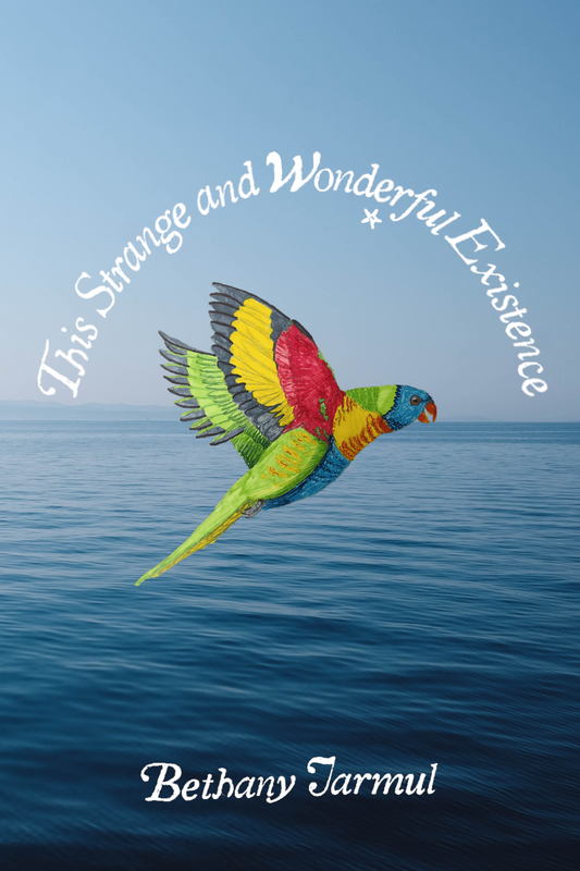 This Strange and Wonderful Existence, by Bethany Jarmul